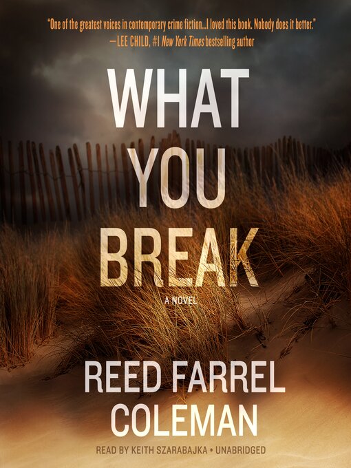 Title details for What You Break by Reed Farrel Coleman - Wait list